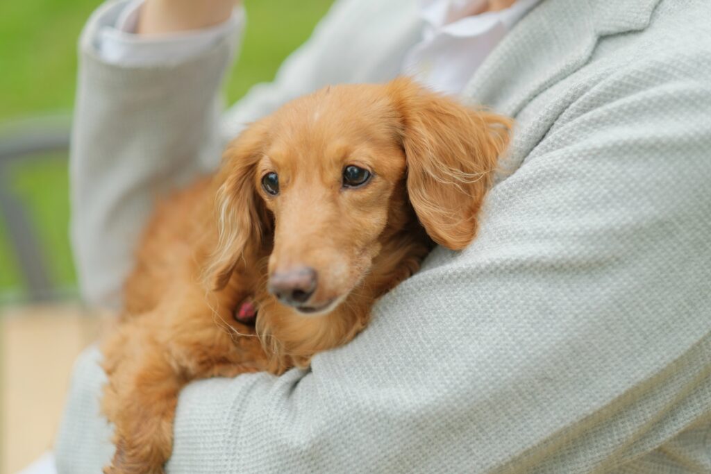 ペット信託サポート